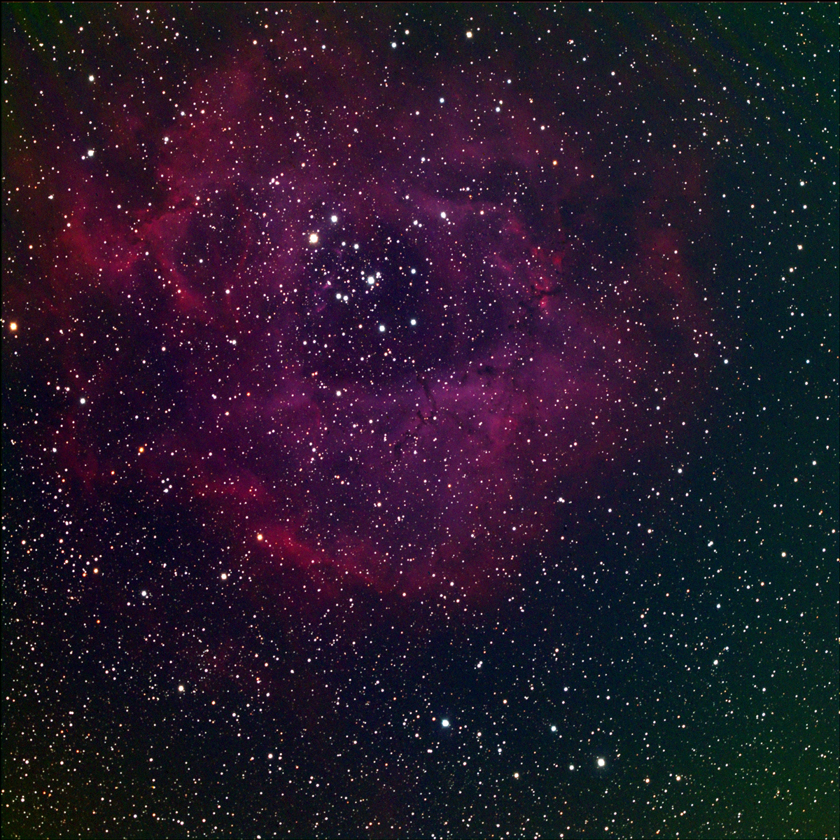 NGC 2237 - The Rosette Nebula